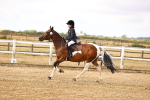 SBM_005860