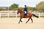 SBM_000878