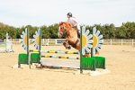 SBM_002983