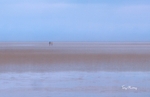 Couple on a beach