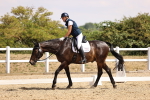 SBM_007380