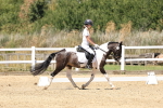 SBM_001603