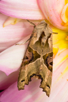20140601-3K8A1917
