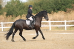 SBM_008258
