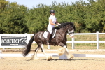 SBM_012284