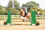 SBM_003852