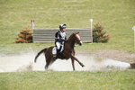BVHT 140517  IXC -384