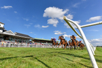 160725-Race 6-Bellarchi-7496