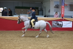 Class 952 - M&M Ridden Supreme Final portfolio