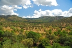 Sierra de Andújar, Andalucia, Spain