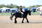 SBM_08715