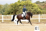 SBM_003719