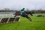121225-Race 1-Old Park Star-3312
