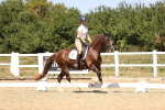 SBM_012040