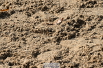251004A-134806-01339