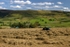 Haymaking near Bradwell