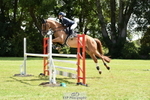 Cls 42 Snr 1m 15 inc Memb Cup Q portfolio