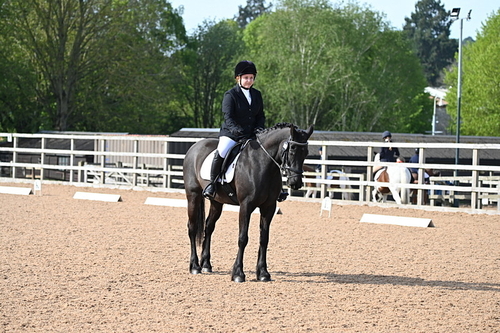 WJ6_6731