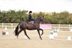 SBM_004929