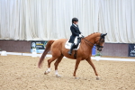 SBM_021353