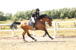 SBM_003854