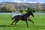 241025-Race 3-Fiveonefive-3158