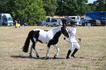 WJ6_8599