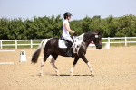 SBM_008606