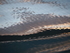 P63004280835