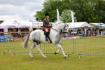 SBM_02614