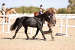 SBM_22779