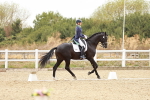 SBM_006919