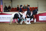 SBM_15178
