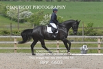 BPP_6603