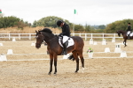 SBM_003633