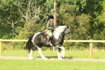 SBM_67443