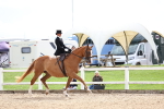 SBM_03347
