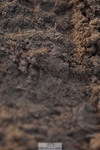 231105A-141010-01326