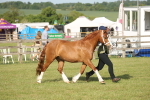 SBM_10490