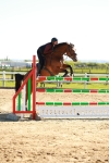 Class 6 - National 1.30 1.40m portfolio
