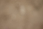 20260913-0594