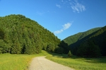 Piatra Craiului Mountains, Brașov County, Romania