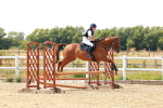 SBM_003983
