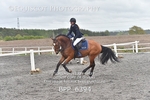 BPP_6394