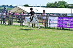 SBM_13976