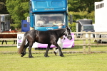 SBM_00676
