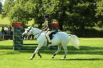 SBM_39136