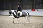 WJ5_6731