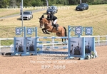 BPP_6668
