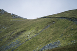 Bannerdale-273